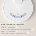 LED Desk Lamp