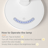 LED Desk Lamp