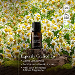 Gya Labs Essential Oil - 0.34oz